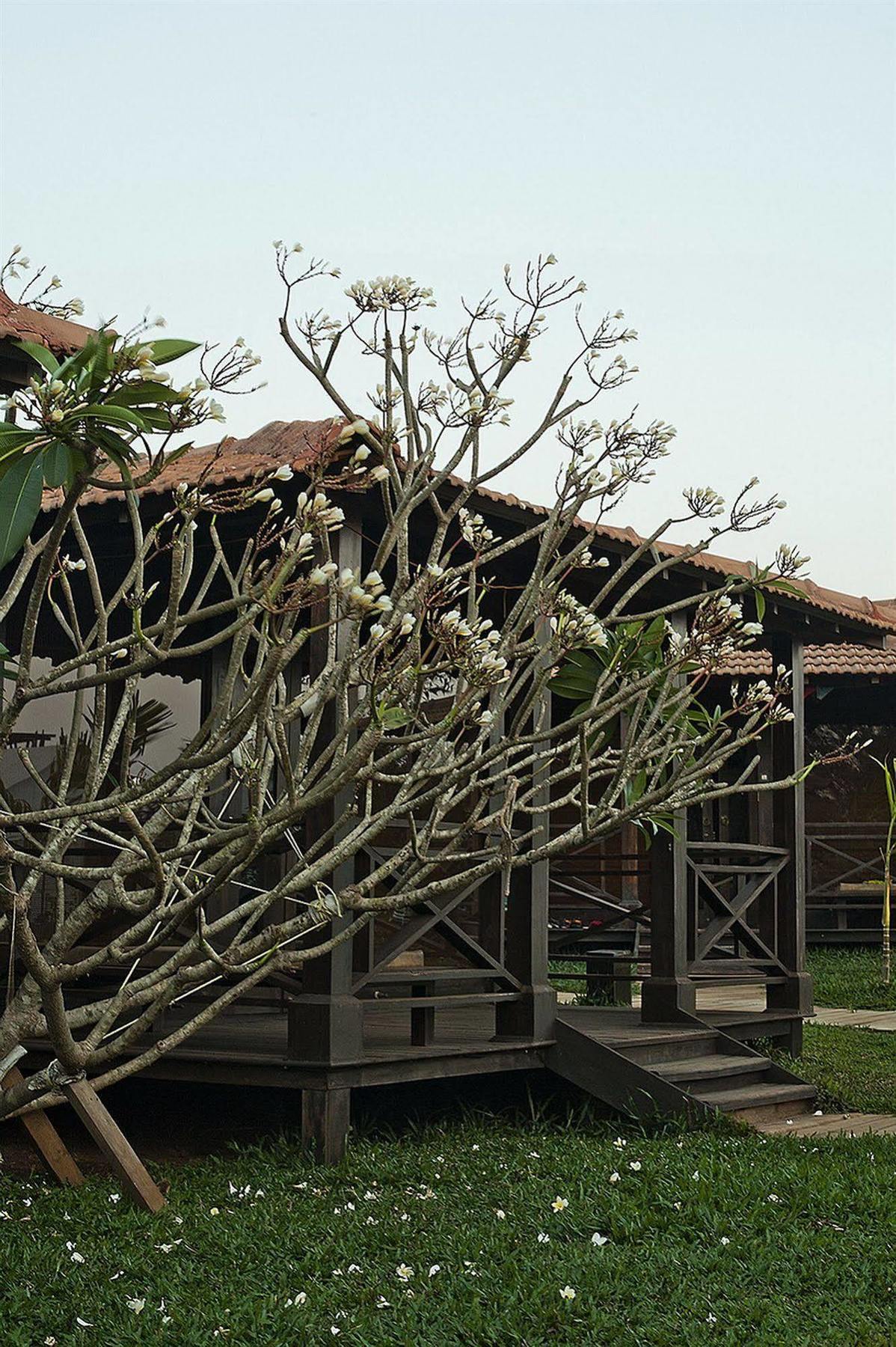 Ecowoods Village Spa & Yoga Retreat Morjim Exterior photo